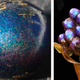 Illustration for article titled This Is the Shiniest Living Thing on the Planet